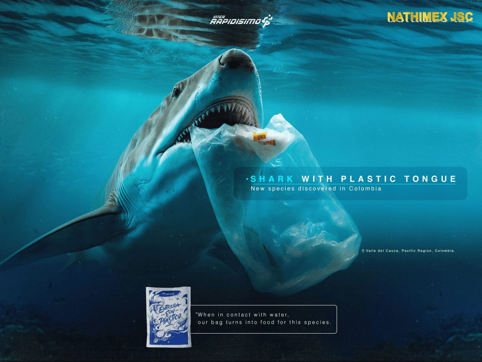 World without plastic