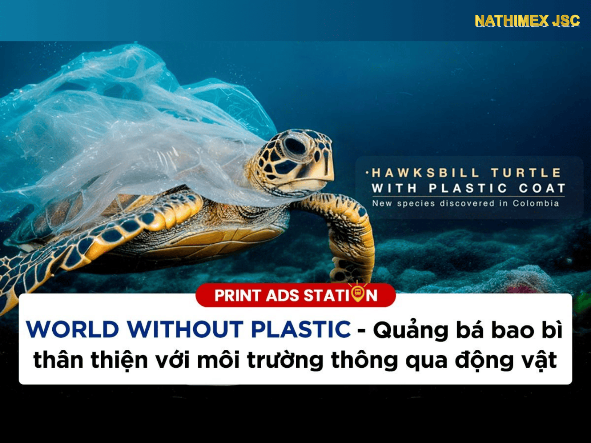 Inter Rapidisimo: World without plastic - Chiến dịch quảng bá bao bì thân thiện với môi trường thông qua thế giới động vật