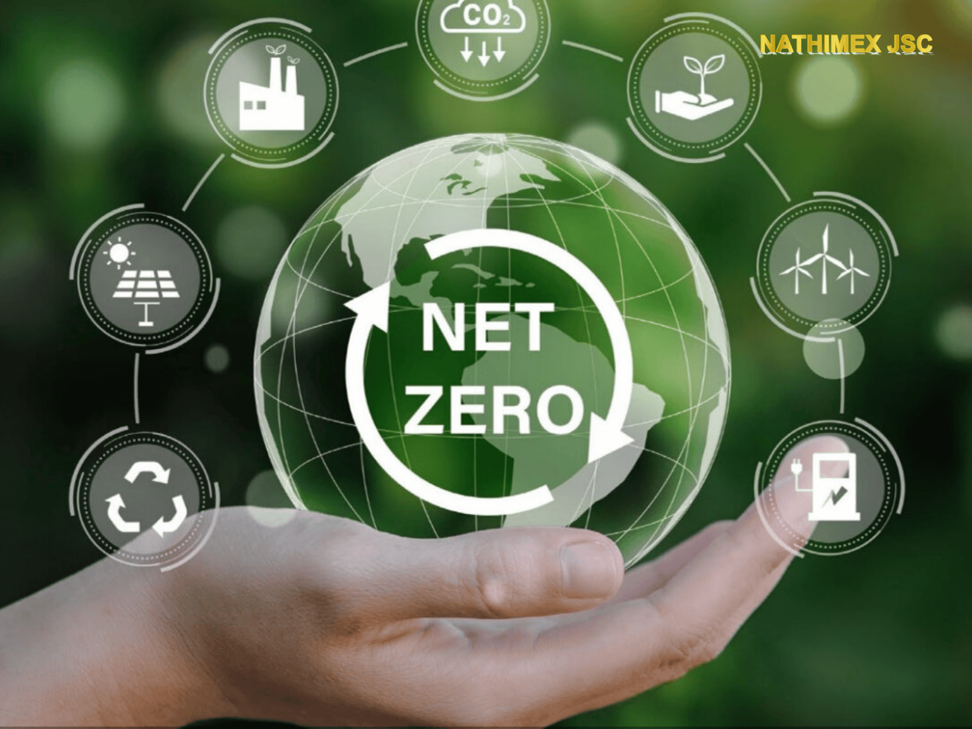 cắt giảm phát thải khí nhà kính