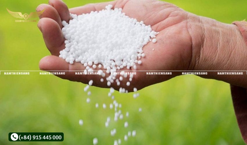 Phân vi lượng là gì?