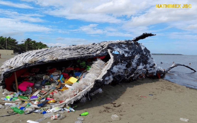 tái chế rác thải nhựa