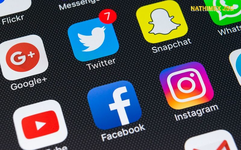 tim-kiem-thong-tin-tren-internet-ve-nha-san-xuat-bao-bi-pp