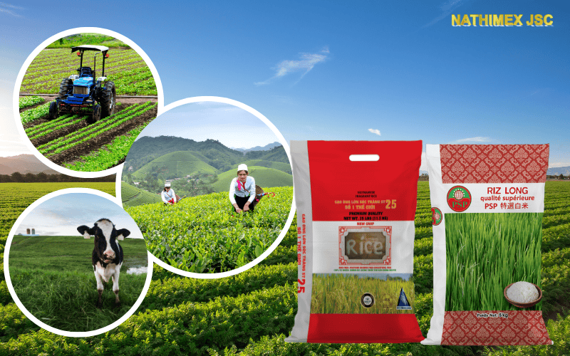 ứng-dụng-BAO-PP-DỆT-GHÉP-MÀNG-OPP